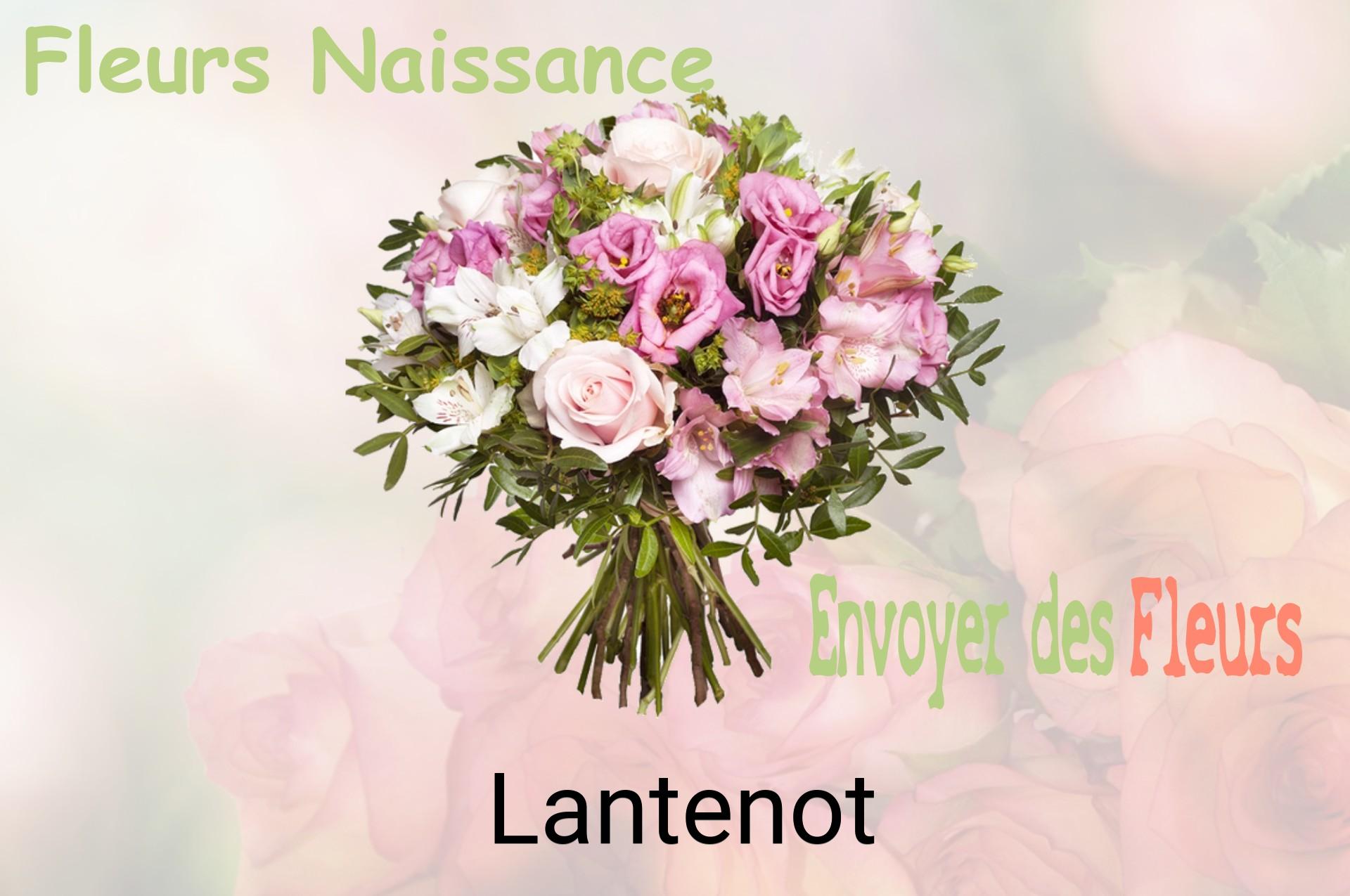 Bouquet de fleurs de naissance livré à Lantenot